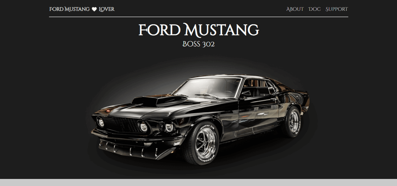 img of project